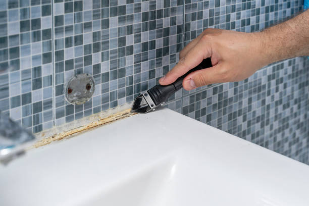 Best Mold Testing  in Cienegas Terrace, TX